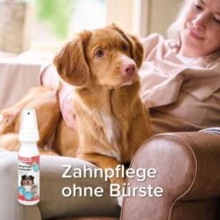 Beaphar Zahnpflege Zerstäuber Spray 150 Ml -Zoofachgeschäft 0016952c62b8fbe21ab030b28913d52e35ab0e62 1051618 de DE bephar Dental Zerstauber DE 2021 8 8