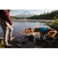 Ruffwear Hydro Plane™ Spielzeug M Orange 10 Ruffwear Hydro Plane™ Spielzeug M Orange -Zoofachgeschäft 006b8682fcf44b40a786d55bd2f1d1cf7f91a7a7 1364300 de DE b9c71d828876a94633bfda1055d03e137f81043ehPprdP