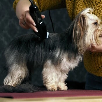 Moser Schermaschine Typ 1400 4 Moser Schermaschine Typ 1400 – Bild 4