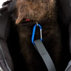 Doctor Bark Hundetragetasche Grau M -Zoofachgeschäft 03f00f317766866df9758788ab4f17529834208e 8a36e572228f667afc46c66ada064da9d5cd2b75