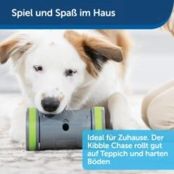PetSafe Selbstbewegendes Belohnungsspielzeug Kibble Chase -Zoofachgeschäft 04ee16df08a1d0058720c3c24edae0b380a4f40b 1418726 de DE 98f77b1c14ebd5f386fc2520d6b8f5d2f621874avKV76L