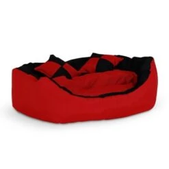 Lionto 4-in-1 Hundebett S -Zoofachgeschäft 05ed03aef083e6e5d9080bfe44eca49fbfa416b8 1665900 de DE 6b32ee59603d7b2b1475b96b0c2a7e6f34c1c0755rDeLG