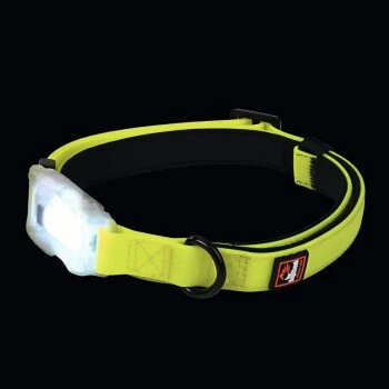 Dogs Creek Leuchthalsband Polar Light S 2 Dogs Creek Leuchthalsband Polar Light S – Bild 2