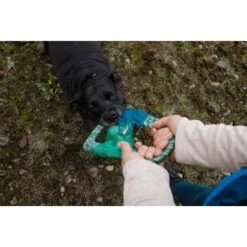 Ruffwear Pacific Ring™ Spielzeug Blau/ Türkis 13 Ruffwear Pacific Ring™ Spielzeug Blau/ Türkis -Zoofachgeschäft 07365c8c03348a7be23ff66a31807695c41eac94 1444351 de DE bb2133baab48cb1d262b89fa47f175638eb3f7fcb9JpcH