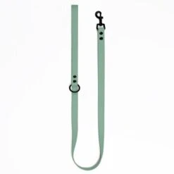 THE DOG IDEA Cityleine Biothane Sage