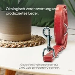 Freudentier Hundeleine Aus Leder, Verstellbar Rot 2 Cm -Zoofachgeschäft 095e47da8f5a307b6f5025838b38597754678a1e 1655244 de DE 8e350e610570bdb83aafc866d93ab02d6b2880d0RXpT0B