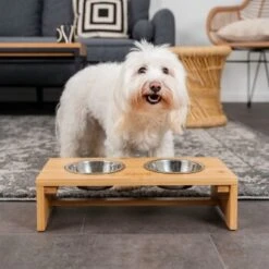 Zoofachgeschäft -Zoofachgeschäft 0ebd27e1d6daa177bb19a1676d8c3a58713dced2 1665921 de DE a28a1d03e7e6c4458670385e414dba037e0197d3muo8Wo