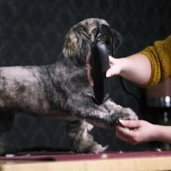 Zoofachgeschäft -Zoofachgeschäft 12b5621609f225e0a77e7717729914be12ea8fce a735613b366205c26cf6cdb16f9f7449886f1457