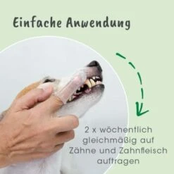 DentaVet Gel 35g -Zoofachgeschäft 12e6ec547f336e51e11b4b386c1daddab368e479 1249039 de DE 2277bc1c564d3cb699ad6a0cb676278afdb15c119RQvq5