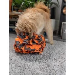 TrendPet Schnüffelball Orange -Zoofachgeschäft 150c7485ceb45f446eae94d286af034396b6b839 1347789 de DE 0d959a3cb36067968769c2d102a66fcc1f59a724hVebVb