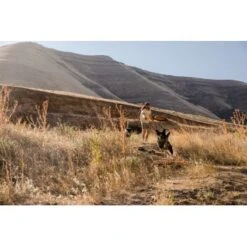 Ruffwear Hover Craft™ Spielzeug Orange -Zoofachgeschäft 15670c7f824cb67257971dca32974b68eba14a2f 1364297 de DE f53c4ca5615bcabb9ccbd712339b8f568f29402frPrk2m