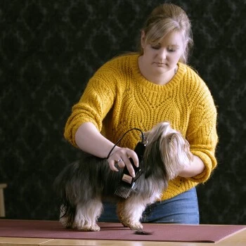 Moser Schermaschine Typ 1400 2 Moser Schermaschine Typ 1400 – Bild 2