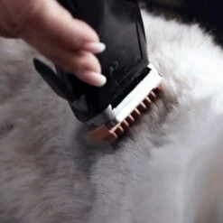 Moser Schermaschine REX -Zoofachgeschäft 1772a67d22493cedccf903dd1e91d7ff370d86f7 29185d9f269d8954e1525c804aae277033703d78