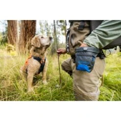 Ruffwear Treat Trader™ Leckerlitasche -Zoofachgeschäft 186b7e425f598b12366c10ec7fcc813818c82e5a 1651410 de DE 3d11f6b873a5b5ccf59e40f905046c9bc48f73e4NRSYSc