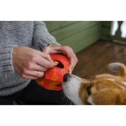 Ruffwear Gnawt-a-Rock™ Spielzeug Blau -Zoofachgeschäft 18a32f6fd206d1a1fd4df8bb6663cd33f769d9d5 1639879 de DE b243dd683d9144eaac7a8d1e460c634ef96ee8c8AtipD6