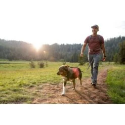 Ruffwear Switchbak™ Leine Grau -Zoofachgeschäft 1a7acae5495815c6e82ed73e3740779e1fe541f4 1373006 de DE c7c62e4c7a358148a23ff3b8669a81d79256177fBfBfN6