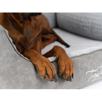 TrendPet VitaBed Style Orthopädisches Hundebett Grau S 5 TrendPet VitaBed Style Orthopädisches Hundebett Grau S – Bild 5