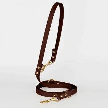 THE DOG IDEA Biothane Hundeleine Gold Braun 2 THE DOG IDEA Biothane Hundeleine Gold Braun – Bild 2