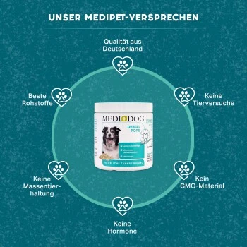 MediDog Dental Pops 4 MediDog Dental Pops – Bild 4