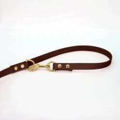 THE DOG IDEA Biothane Hundeleine Gold Braun 6 THE DOG IDEA Biothane Hundeleine Gold Braun -Zoofachgeschäft 1c8cd9b0731ffa61e1473f7dae13655ec00725f2 1655409 de DE 36fb03a29d24b171921bea38b1a2152a5aa8a118FdCE9v