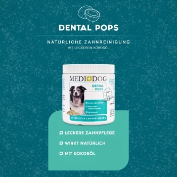 MediDog Dental Pops 2 MediDog Dental Pops – Bild 2