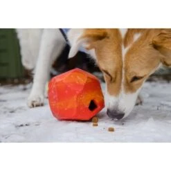 Ruffwear Gnawt-a-Rock™ Spielzeug Blau -Zoofachgeschäft 1df4ce0c3e2b13b9dde849014a9b4637ff5fbf94 1639879 de DE 625c8d7bd239fd4e64b055b3b2574c1b5400a391xF45nb