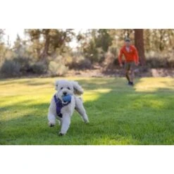 Ruffwear Huckama™ Spielzeug Violett 13 Ruffwear Huckama™ Spielzeug Violett -Zoofachgeschäft 1e25287ed59c30d76e9b799ca71232e607c6932b 1639706 de DE 4cde75bd4ef04e9f936b40473471e71f69a39443R9gkOp