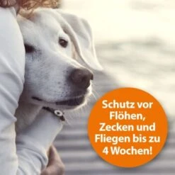 Ardap Flohspray Zur Anwendung Am Tier 250ml -Zoofachgeschäft 1e38b7747570a91b3fd009f3974005664ac2d015 1227735 de DE 3ce23e78efb3686272f02c09e5ca6ade74ba7902gmBWUo