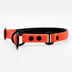 THE DOG IDEA Zugstopp Halsband Orange XS 9 THE DOG IDEA Zugstopp Halsband Orange XS -Zoofachgeschäft 1ed8fefef63b371ec4cda43f60e91d6f1ca94f50 1499712 de DE a31f6753e5b48355b1f0f63cd519e5adcd14cfd067hyQ3
