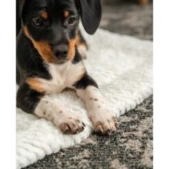 Lionto Wendedecke, Liegedecke Für Hunde & Katzen S 5 Lionto Wendedecke, Liegedecke Für Hunde & Katzen S -Zoofachgeschäft 1f70cef866b778b081a98b378a531b64d9215283 1657054 de DE a25e5e5240b190e57c5e1b4f2566e2b5a9d98b86SxzTFn