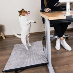 Freudentier Faltbare Hundematte Für Unterwegs S-M -Zoofachgeschäft 2028d765e8e36bbac743fe9fa472973621598490 1445215 de DE 88a2b27d760da648b7a5995f69e3cd880b3018er