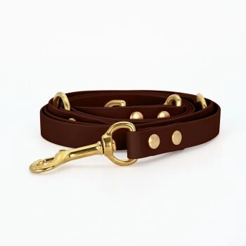 THE DOG IDEA Biothane Hundeleine Gold Braun 1 THE DOG IDEA Biothane Hundeleine Gold Braun