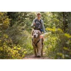 Ruffwear Brush Guard™ Geschirrzubehör S -Zoofachgeschäft 2275adfad51de073b304c2c73d17011d318ed35d 1651427 de DE 17729fb29f96cf519995f150dd5871cde0aa97d2N0gP2P