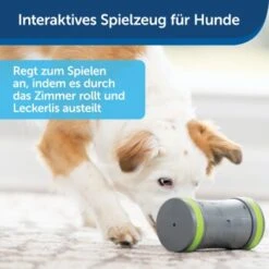 PetSafe Selbstbewegendes Belohnungsspielzeug Kibble Chase -Zoofachgeschäft 232030f86f814de36b46e922b9019b2a80aa0a4a 1418726 de DE cabfebb8ef64f9f8a7009d6c5080cb046558ff00b0jRo2