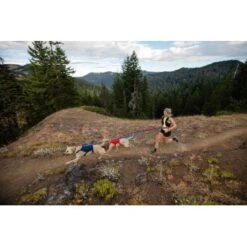 Ruffwear Switchbak™ Geschirr Rot L-XL -Zoofachgeschäft 23dd195703ee00ec85cacb65e74729e3bb506fa0 1651575 de DE 377a773ec9492fbe4e6e0591699f3d1ad7b1f7b1ZbmBUY