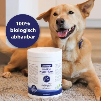 Canosept Universal Pflegetücher 4 Canosept Universal Pflegetücher – Bild 4