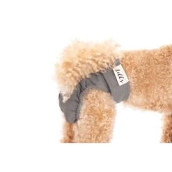 Lills Läufigkeitshöschen "Lou" Pink Berry Grau XXL -Zoofachgeschäft 2510182477e0473189522ab4c4eec9318a5ab186 1662393 de DE e81483ca839e45ba2b9fb54d71ddd02dbfa55b06LbZw0y