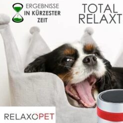 RelaxoPet PRO Entspannungs-Trainer HUND -Zoofachgeschäft 2a2890af55504b316fb288b48c33f73cd8cd6818 1315705 de DE 86a89a3dec2d79cadfd859276b25e24b347ce6a68JwiKQ