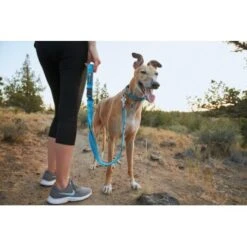 Ruffwear Web Reaction™ Halsband Blau S -Zoofachgeschäft 2cdfdccf008759cf17f48f239379359c334e9357 1651469 de DE 0072b4ff1341ecdf919c350193ff39629ad782b0mKg81g