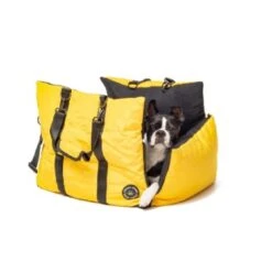 Chiara Auto- Hundetasche LIV Gelb -Zoofachgeschäft 2ddd85d45b7624985b55d59780f92ff30c3417e7 1385942 de DE 09e2743affee9b7e8e7a99bcd7cd6c19e5272471PCMzLv