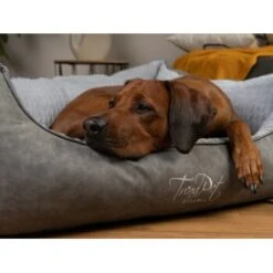 TrendPet VitaBed Style Orthopädisches Hundebett Grau S 10 TrendPet VitaBed Style Orthopädisches Hundebett Grau S -Zoofachgeschäft 2e22e76b9890cab2b347eb169b198c1328e5fa27 1390626 de DE 4bc3134fc91eb5037474c4e687bb289c40b73b9bIhkXpe