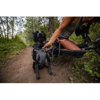 Ruffwear Roamer™ Leine Grau M 2 Ruffwear Roamer™ Leine Grau M – Bild 2