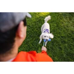 Ruffwear Gourdo™ Spielzeug S Grün -Zoofachgeschäft 340d5a3cda4bb7c7215d03f2d69aea1fb532027d 1639795 de DE dcb292407c796db89093f35e704145b6700aa2deFjWC0G