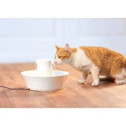 Zoofachgeschäft -Zoofachgeschäft 3618eec03b36d11fdf7febc663118c99bc340b4b f5e5469eaf28f5dde47584cc4650de1704a74254