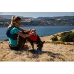 Ruffwear Switchbak™ Geschirr Rot L-XL -Zoofachgeschäft 36627c6d89b8694143fad3770a02ccde77e7d7a6 1651575 de DE f8932f895fb04354463c1c418e28b73edfe4f661JkyILG