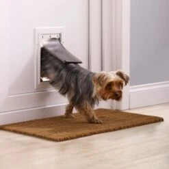 PetSafe Klappe Flexibel Mit Aluminiumrahmen S -Zoofachgeschäft 3a4c2a19720a9a02b32c92c047cc7d6642c51178 c4fcf5d267163feee43df5581a8f62f90db05124