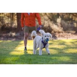 Ruffwear Huckama™ Spielzeug Violett 14 Ruffwear Huckama™ Spielzeug Violett -Zoofachgeschäft 3c9858f23e189df169fef8e6b079b9b80afe5185 1639706 de DE 22affde3e5114f0c2b5db19a77f0508968440a74megCgS