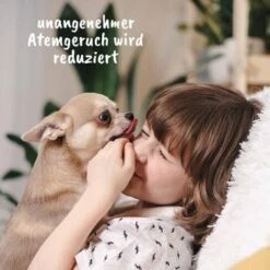 DentaVet Gel 25ml 8 DentaVet Gel 25ml -Zoofachgeschäft 3d907ec5674616c9e86440a8be785f9a2110275a 1667843 de DE d1fc59c1732a26ecfdb5efbb70158acd6ac06117LB92m4