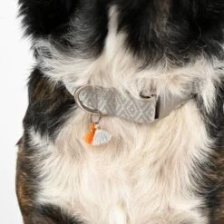 THE DOG IDEA Boho-Chic Halsband Ivy L -Zoofachgeschäft 408ee4922683c869ff3d5c80037608142ac784fa 1662813 de DE f1cb924f7e4bbede434464b92844c6ba826fe8efNRNdW0