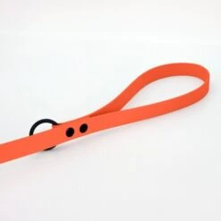 THE DOG IDEA Cityleine Biothane Orange -Zoofachgeschäft 40d284353a280f5d7ef0bc71a815efab68022bd9 1492085 de DE d65089b13a714969d0165cad80e9ccf83f8e1409buLwFa